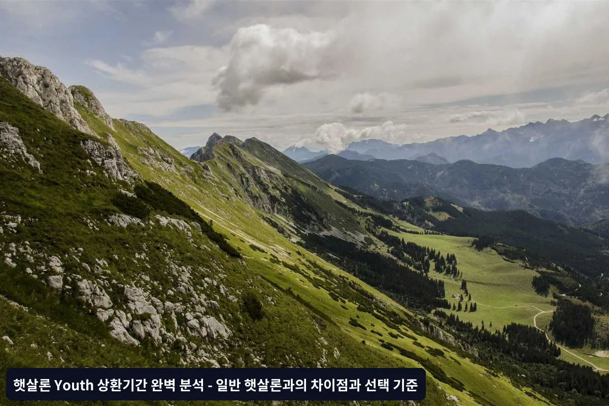 소득 상황별 선택 기준