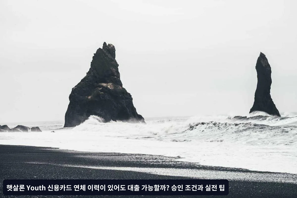 중등도 연체 이력 (3-5회 또는 장기 연체)