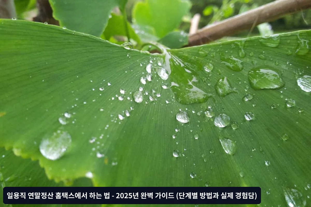 Q3. 원천징수영수증을 받지 못했는데 어떻게 하나요?