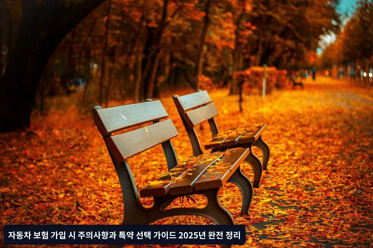 2025년 자동차 보험 트렌드와 변화사항