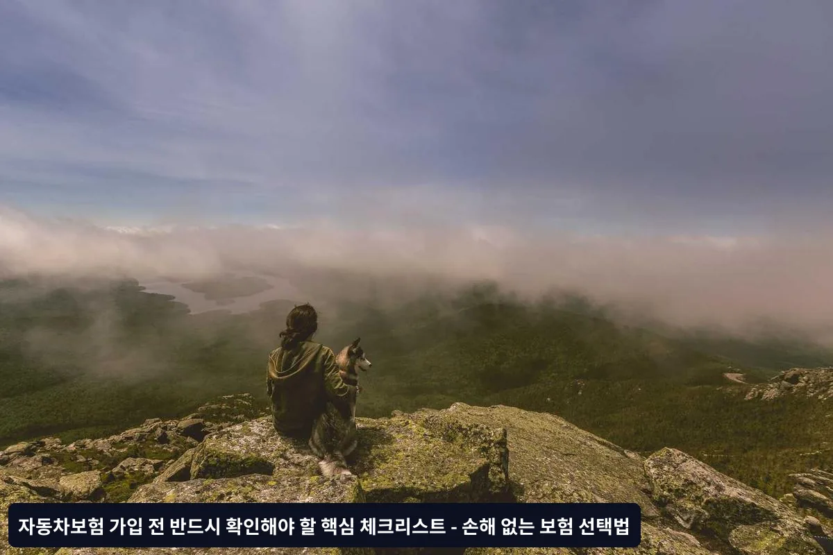 가입 전 최종 체크리스트