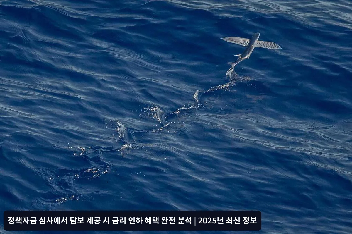 담보 가치 평가와 대출한도 산정 방식