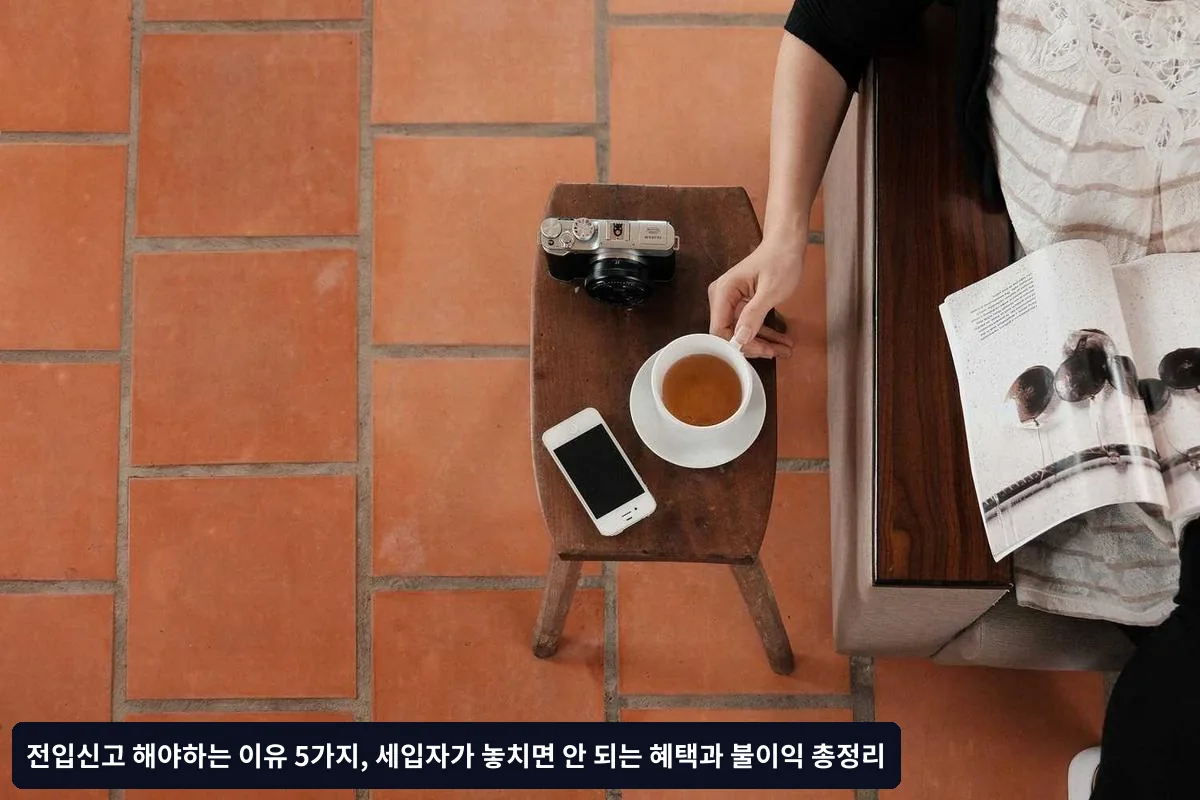 임시거처와 영구거처 구분