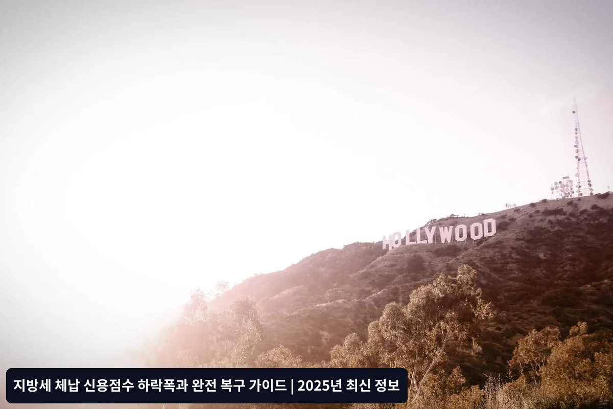 지방세 체납이 신용정보에 등록되는 시점