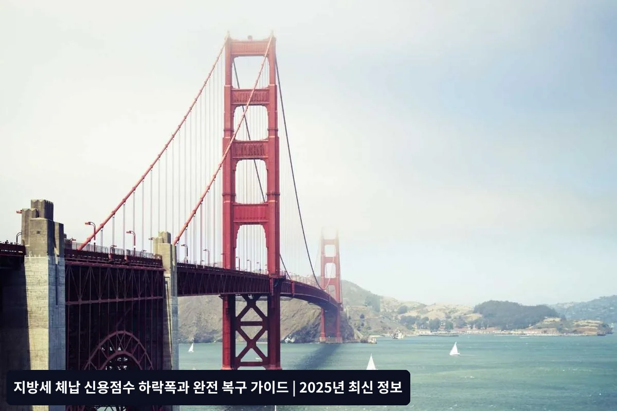 지방세 종류별 체납 영향과 대응법