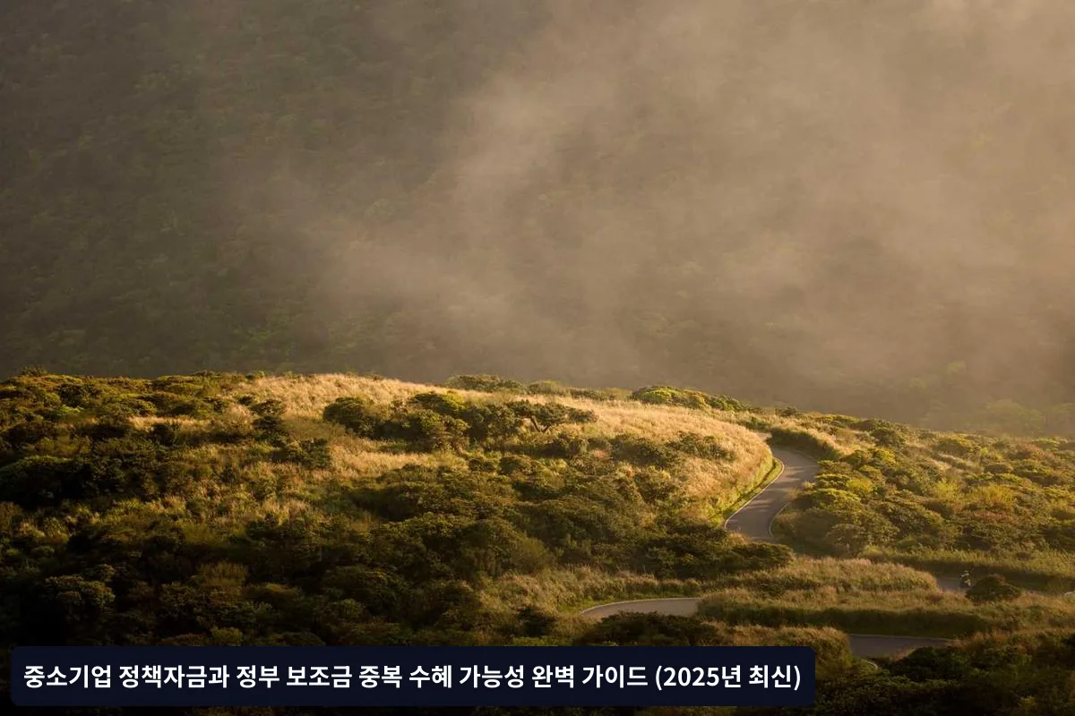 중복 수혜가 가능한 경우와 조건