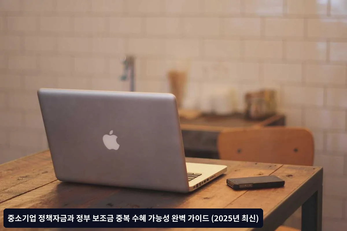 실제 중복 수혜 성공 사례