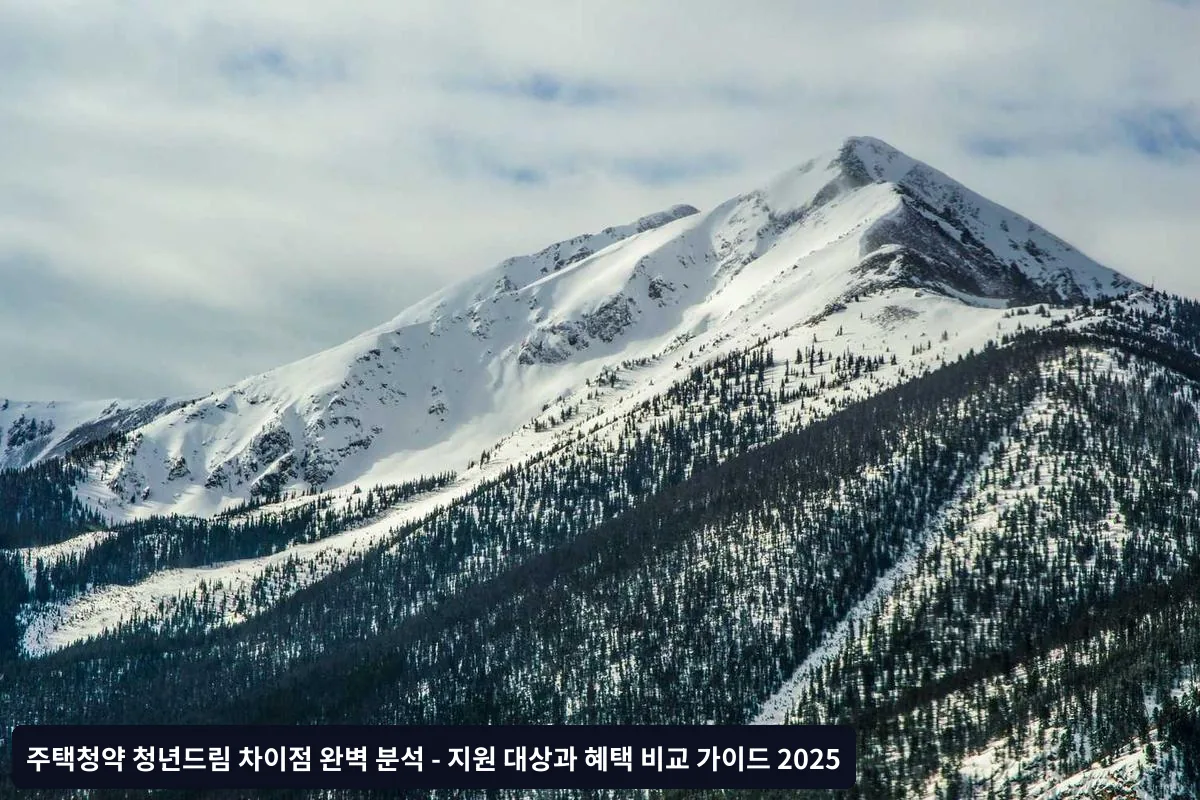 실제 사례로 본 효과 비교