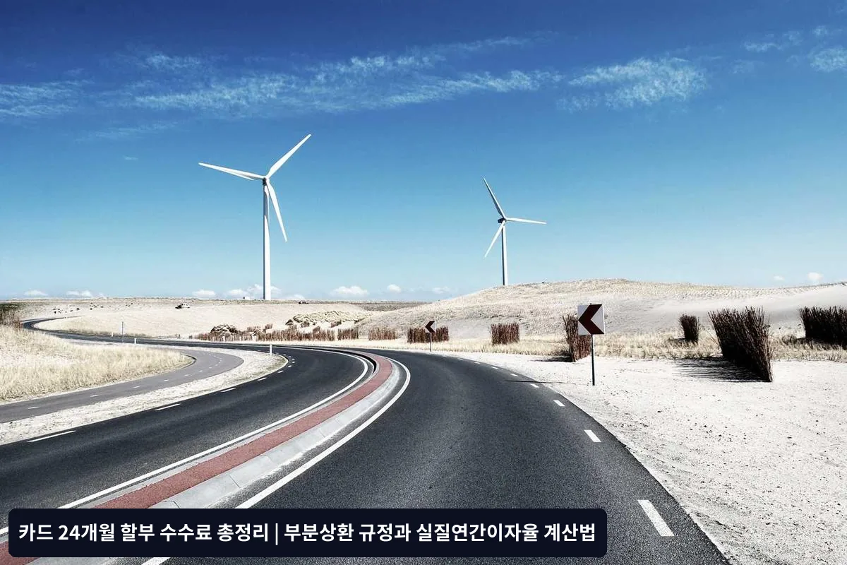 100만원 24개월 할부 실제 계산 사례