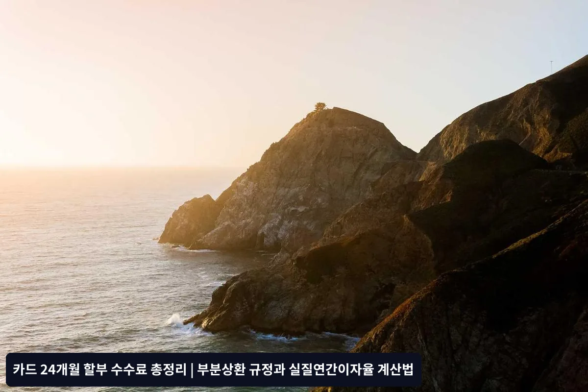 자주 묻는 질문 (FAQ)