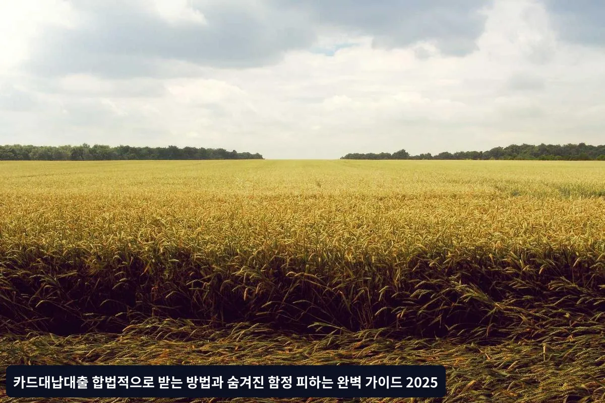 대표적인 불법 업체 수법