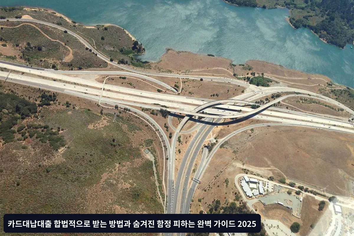 시나리오 2: 사업자금 필요 (1,000만원)