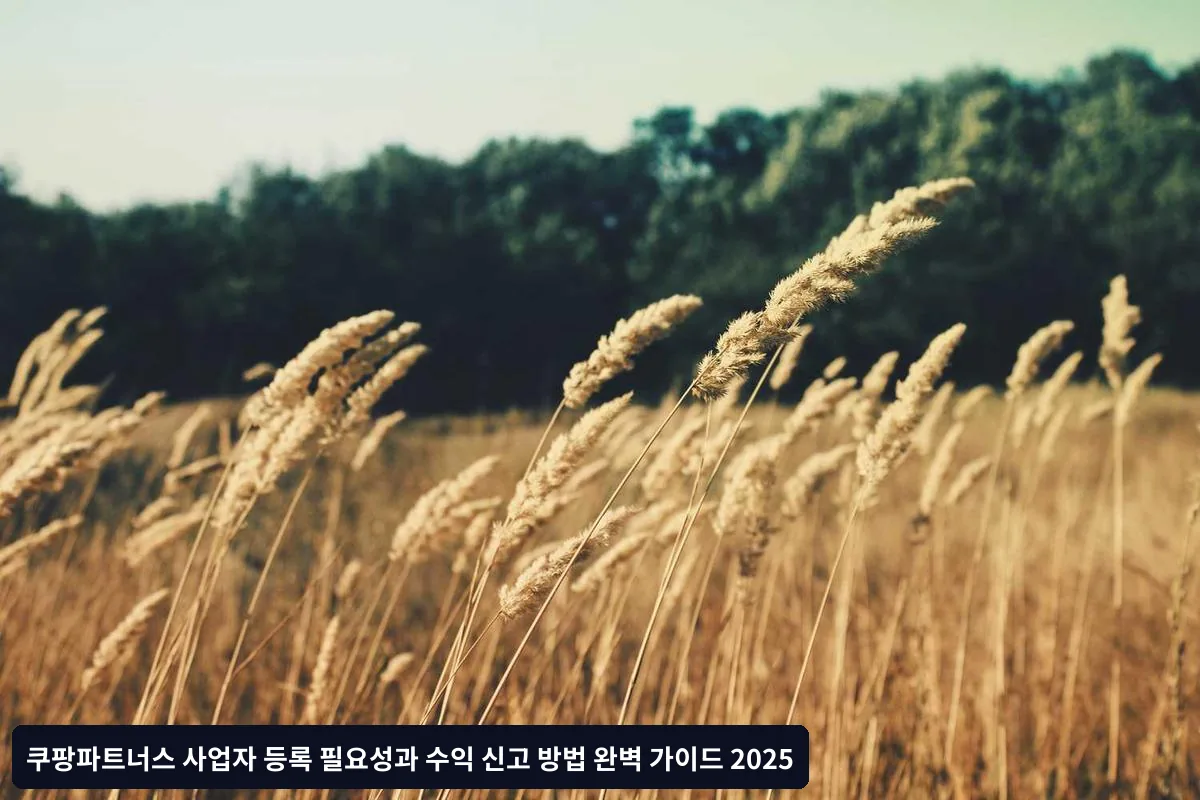 개인사업자 등록 vs 개인 종합소득세 신고 비교