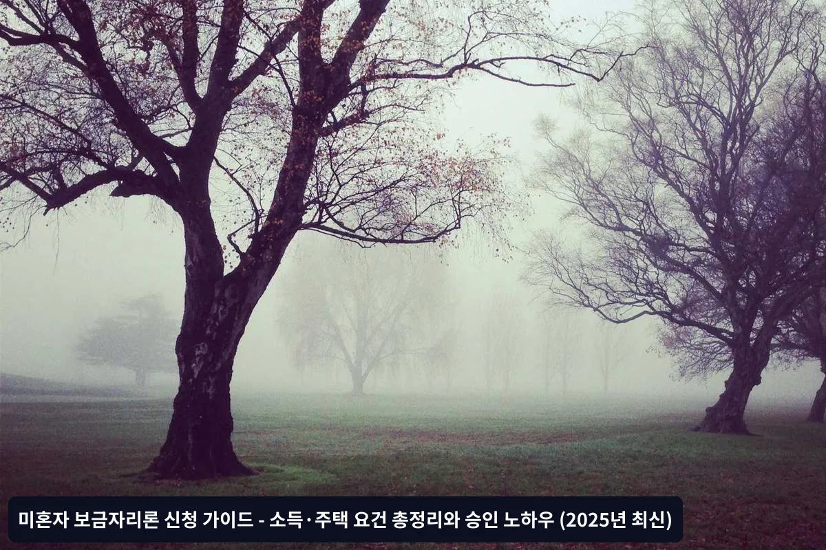 2025년 소득 요건 상세 분석