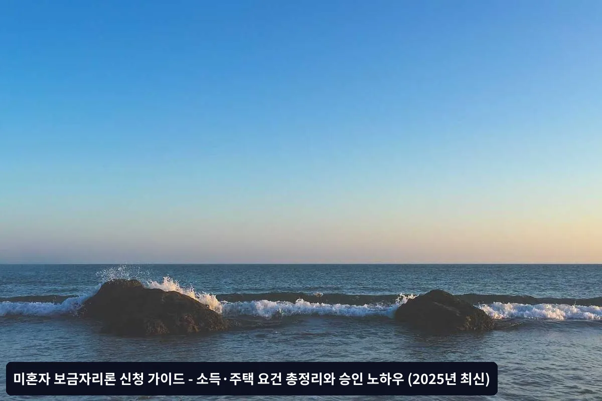 신청 전 최종 점검사항