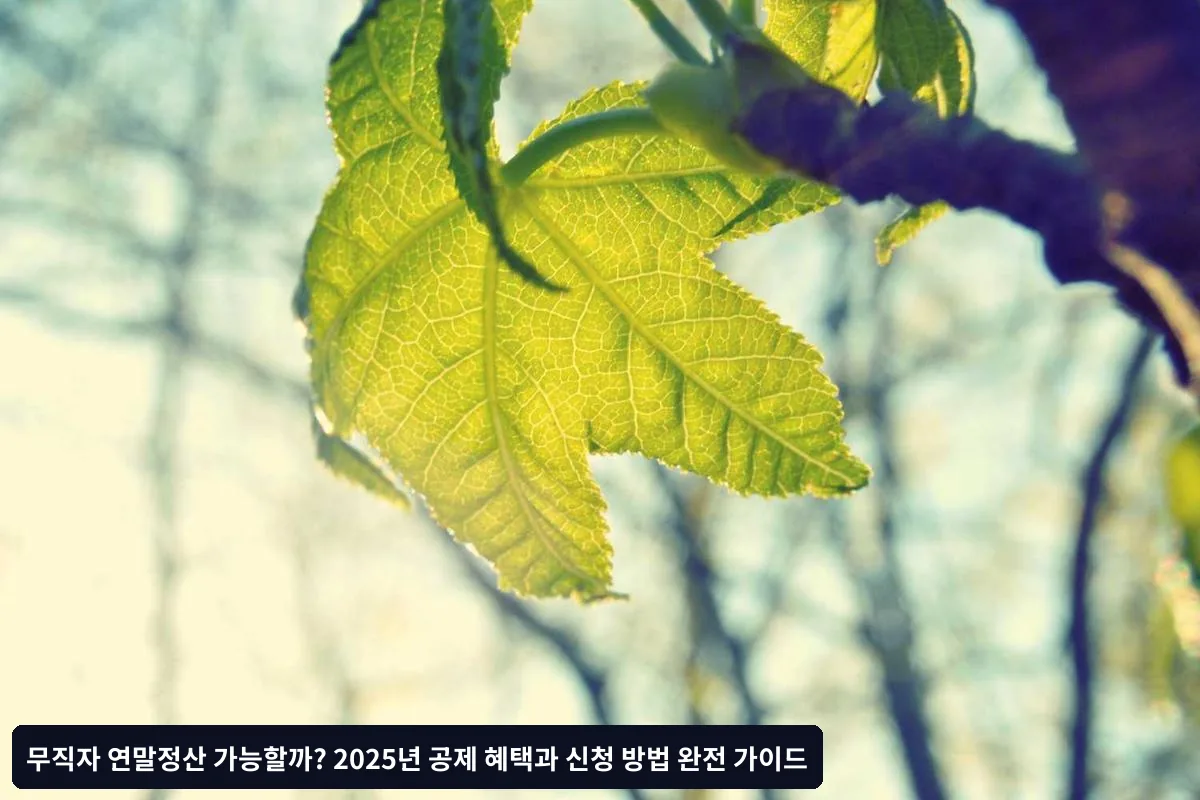 무직자 연말정산 FAQ