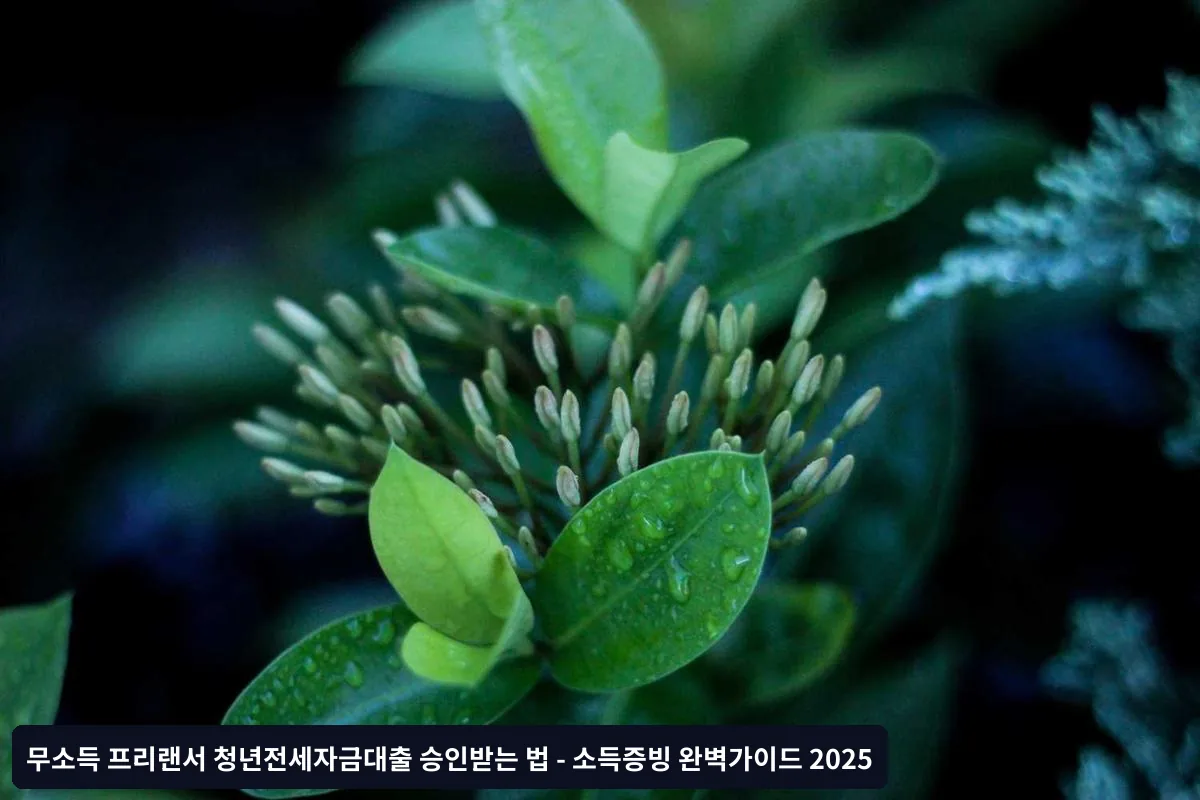 Q2. 부모 연대보증 없이도 승인이 가능한가요?