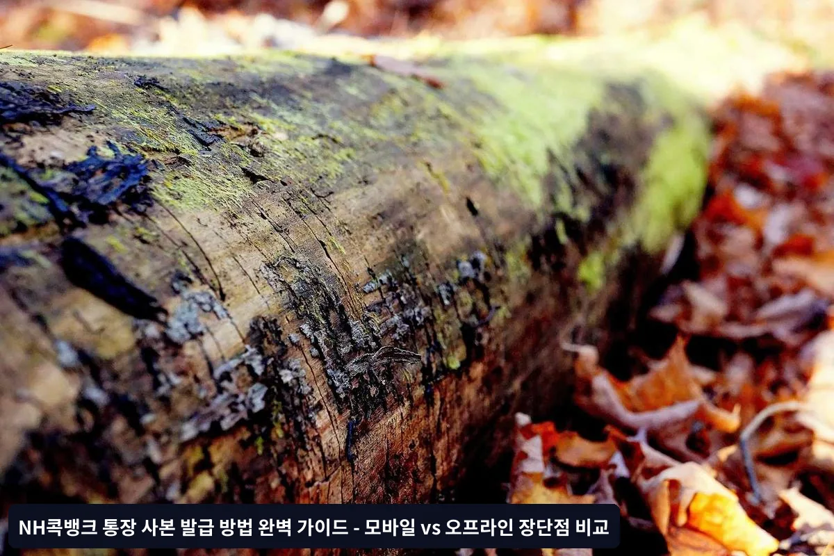 자주 묻는 질문 (FAQ)