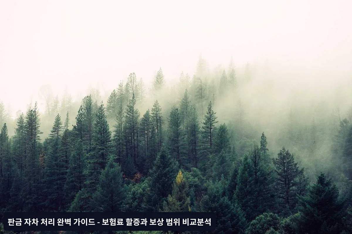 보험 처리 절차와 주의사항