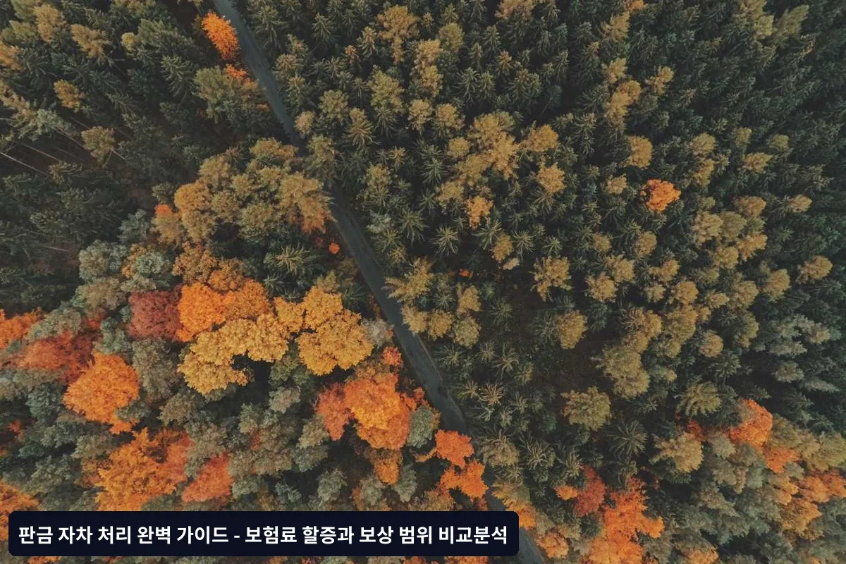 자주 묻는 질문 (FAQ)