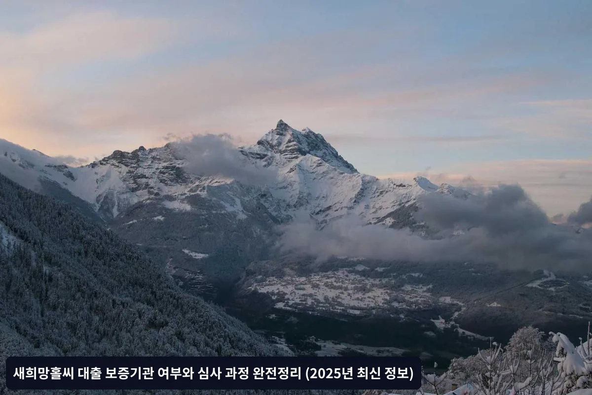 보증 외 추가 심사 항목들