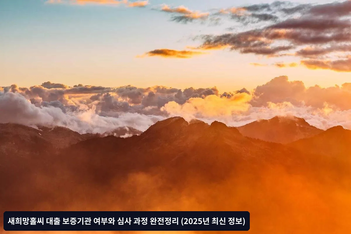 거절 시 대안과 재신청 전략