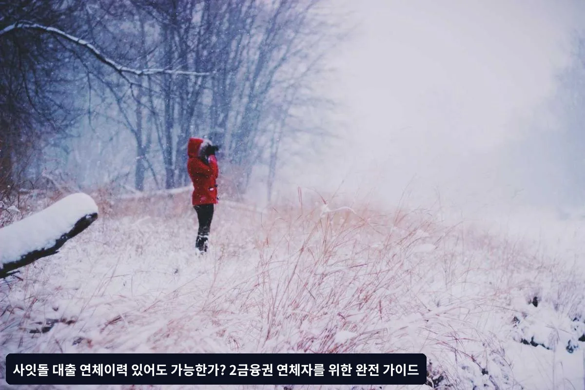 지역별 특화 프로그램