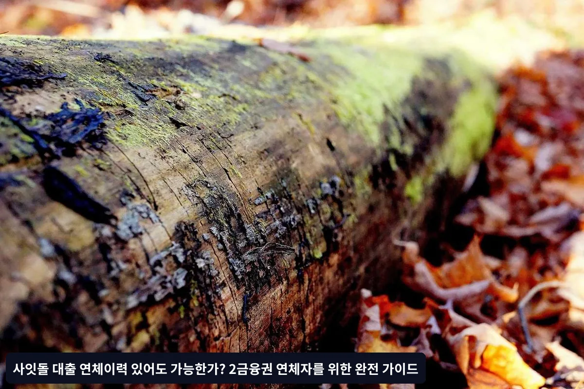 Q1: 2금융권 연체 중이어도 신청 가능한가요?