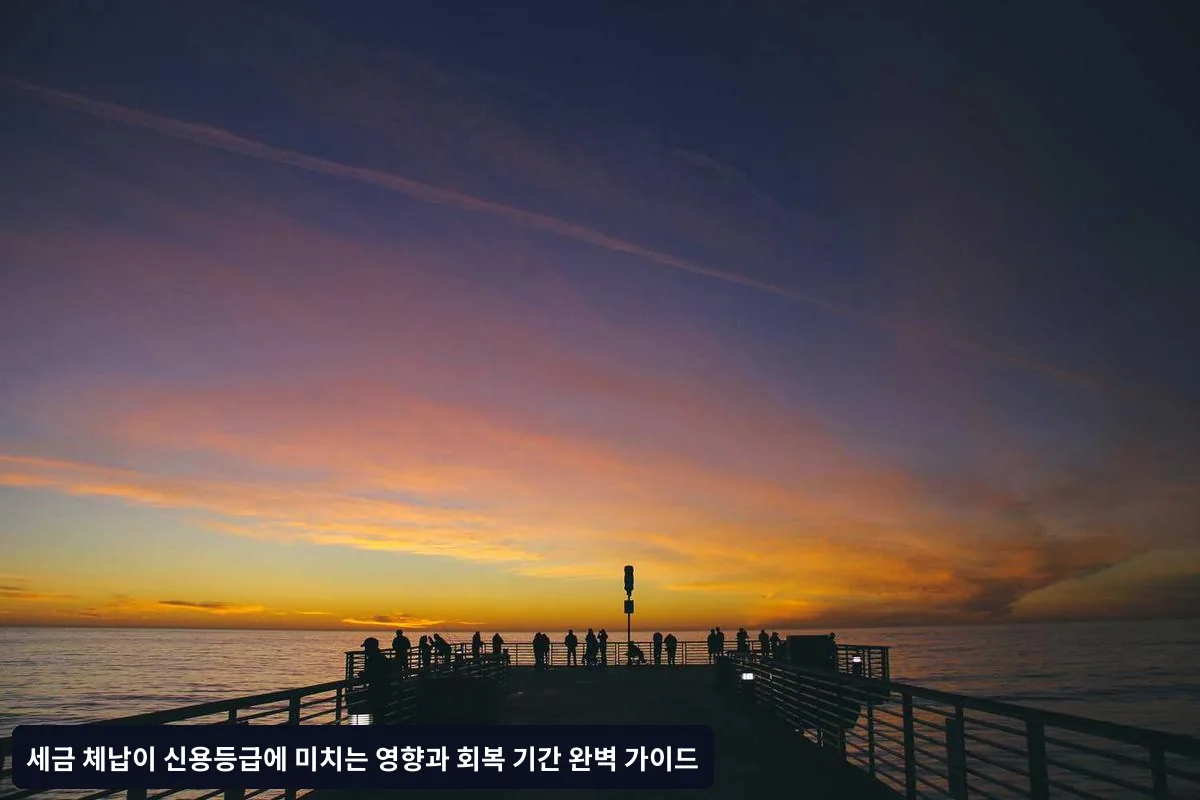 체납 해결과 동시에 진행해야 할 신용관리