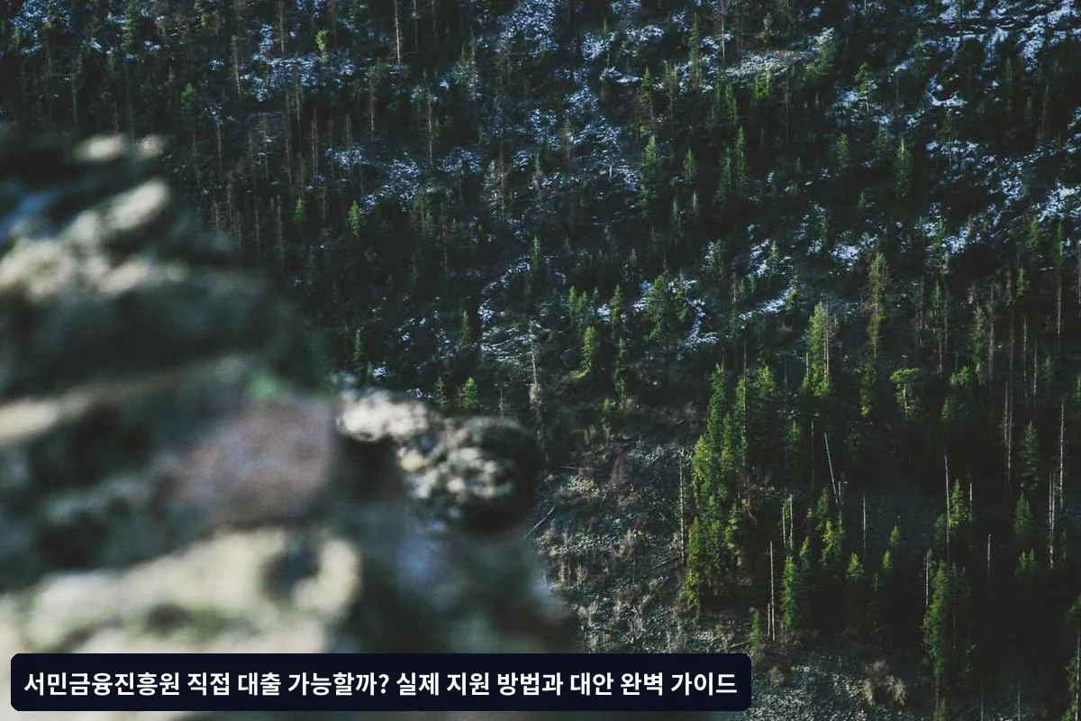 대출 이용 시 주의사항
