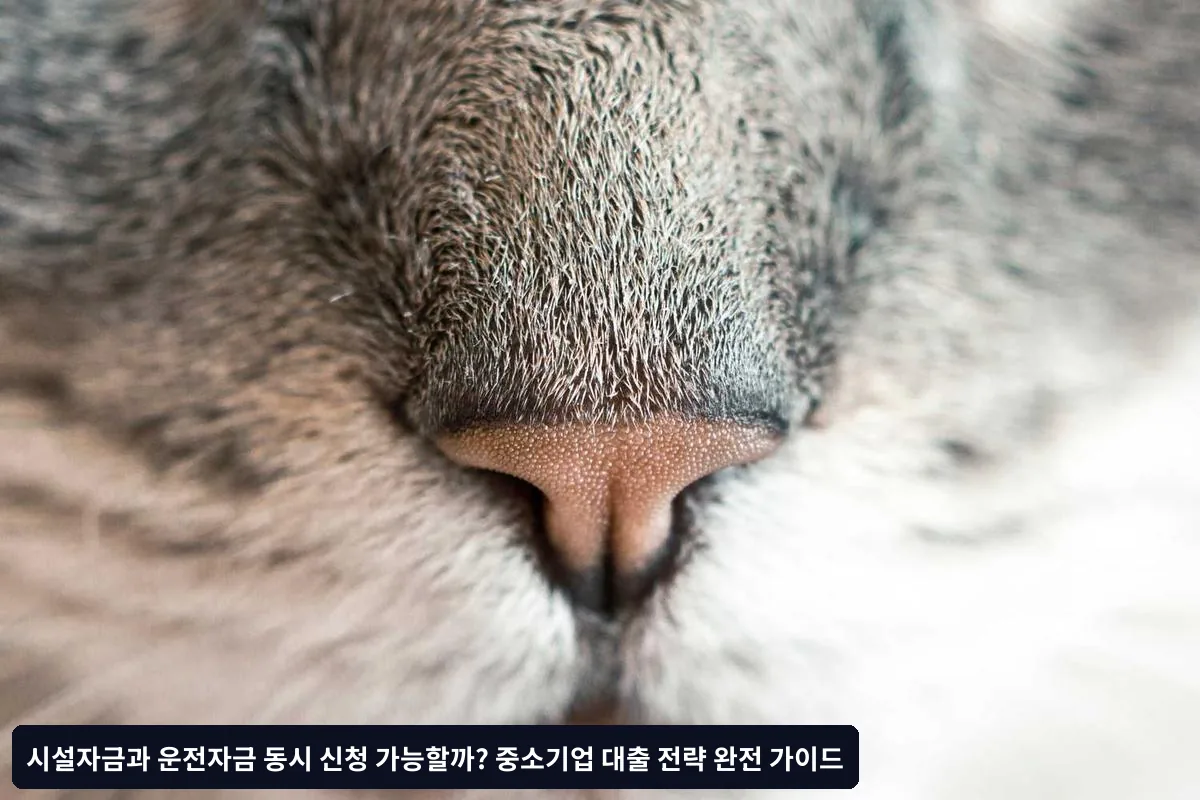 실제 승인 사례와 노하우